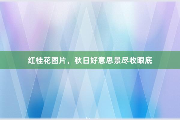 红桂花图片，秋日好意思景尽收眼底