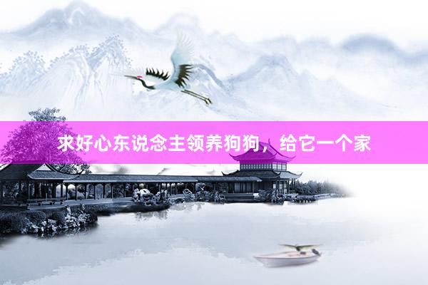 求好心东说念主领养狗狗，给它一个家