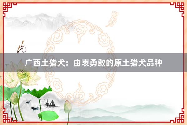 广西土猎犬：由衷勇敢的原土猎犬品种